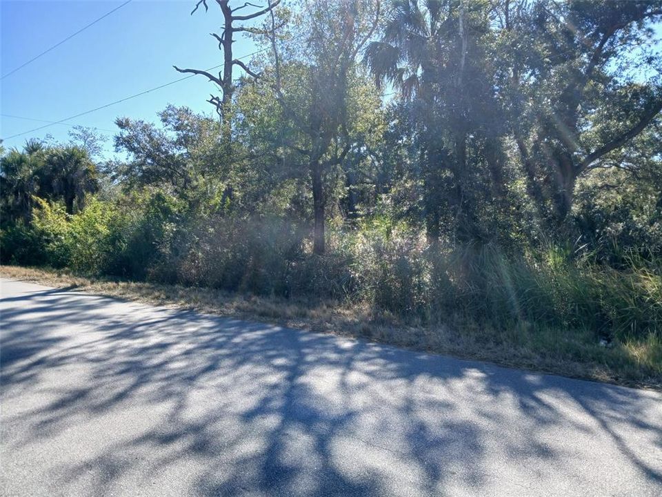 待售: $99,999 (0.23 acres)