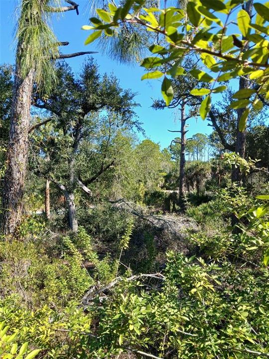 待售: $99,999 (0.23 acres)