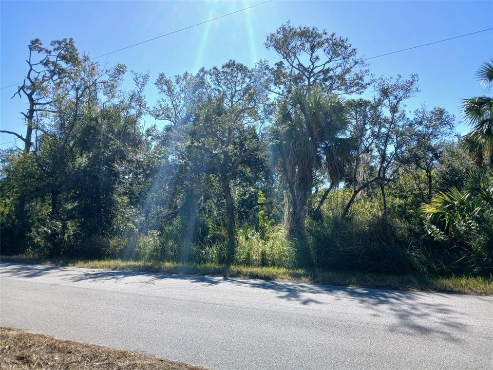 待售: $99,999 (0.23 acres)