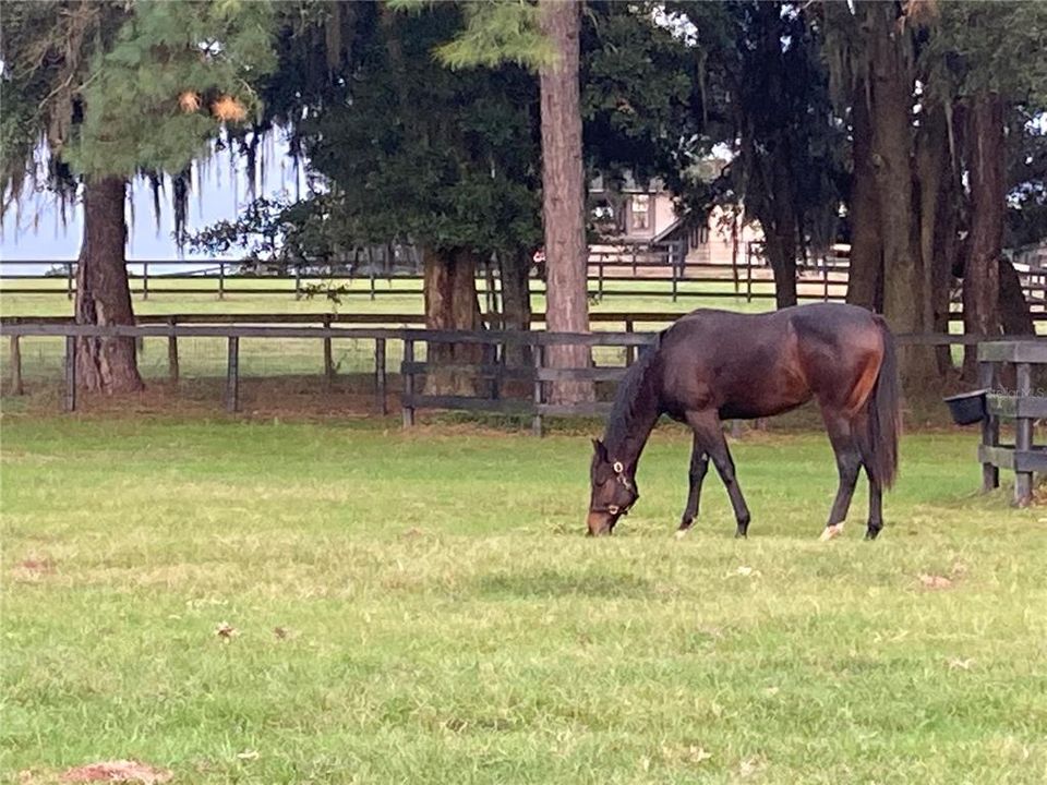 For Sale: $3,400,000 (2 beds, 1 baths, 1152 Square Feet)