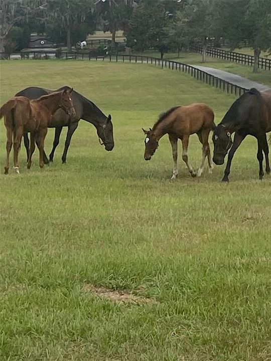 For Sale: $3,400,000 (2 beds, 1 baths, 1152 Square Feet)