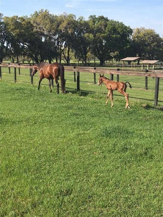 For Sale: $3,400,000 (2 beds, 1 baths, 1152 Square Feet)