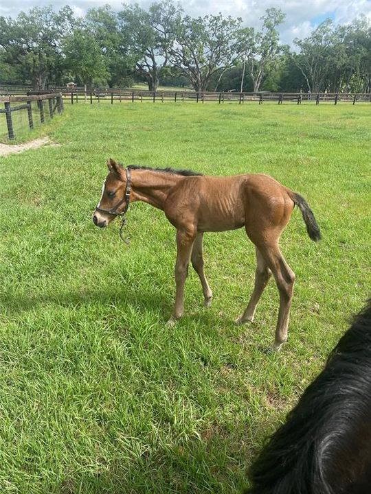 For Sale: $3,400,000 (2 beds, 1 baths, 1152 Square Feet)
