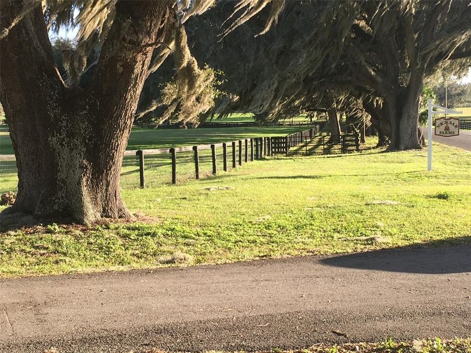 For Sale: $3,400,000 (2 beds, 1 baths, 1152 Square Feet)