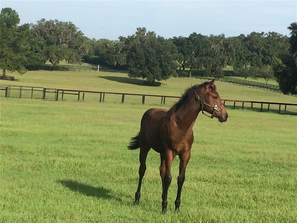 For Sale: $3,400,000 (2 beds, 1 baths, 1152 Square Feet)