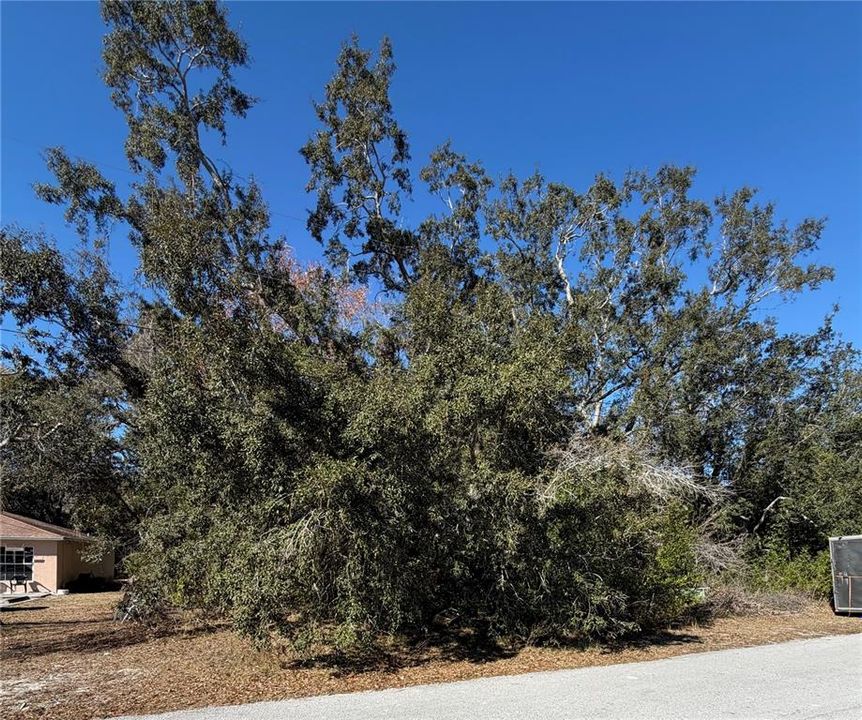 На продажу: $99,000 (0.34 acres)