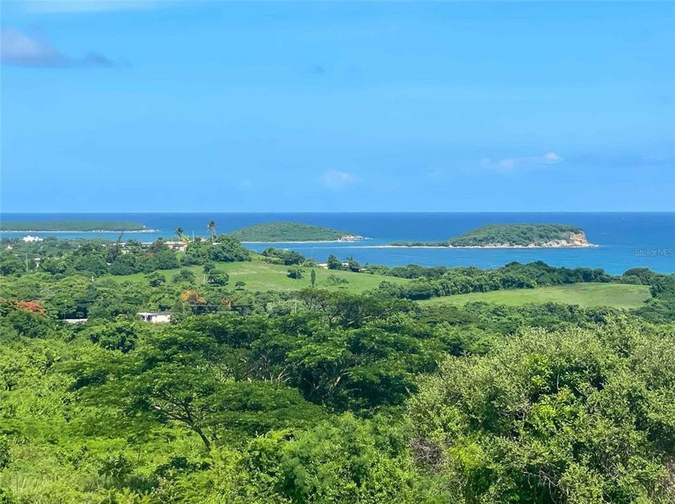 На продажу: $385,000 (2.01 acres)