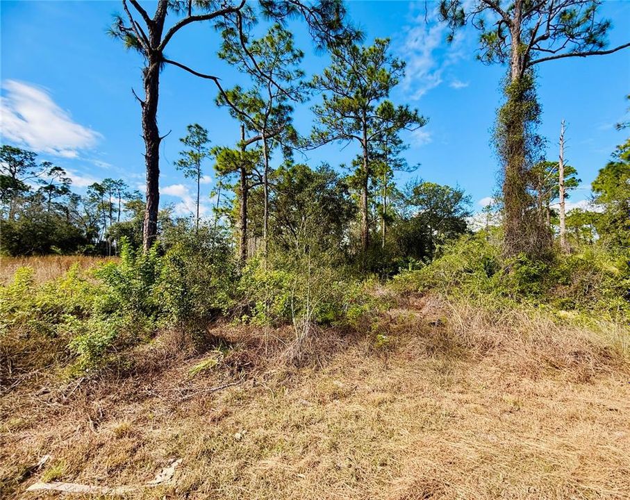 For Sale: $35,000 (0.50 acres)