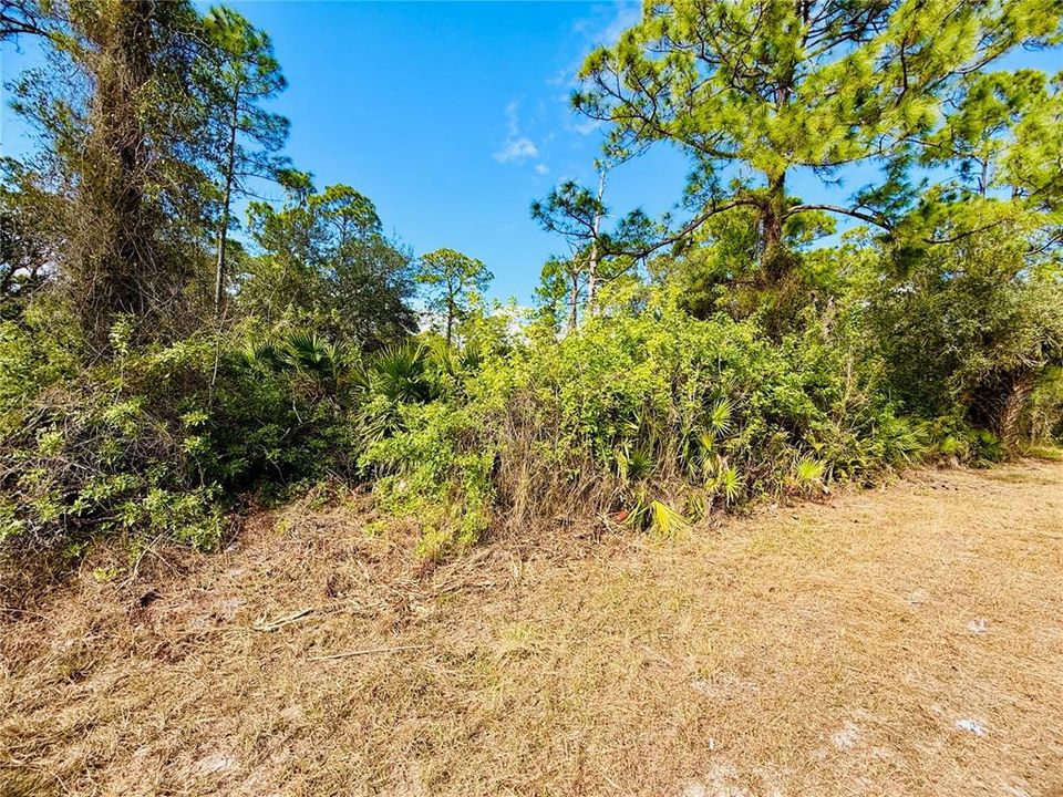 For Sale: $35,000 (0.50 acres)