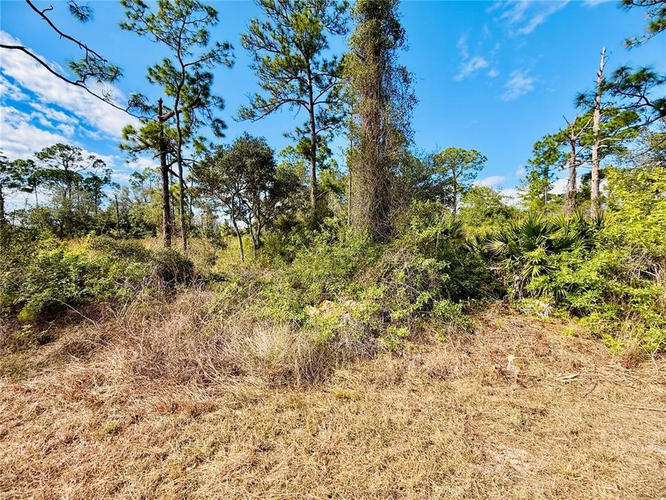 For Sale: $35,000 (0.50 acres)