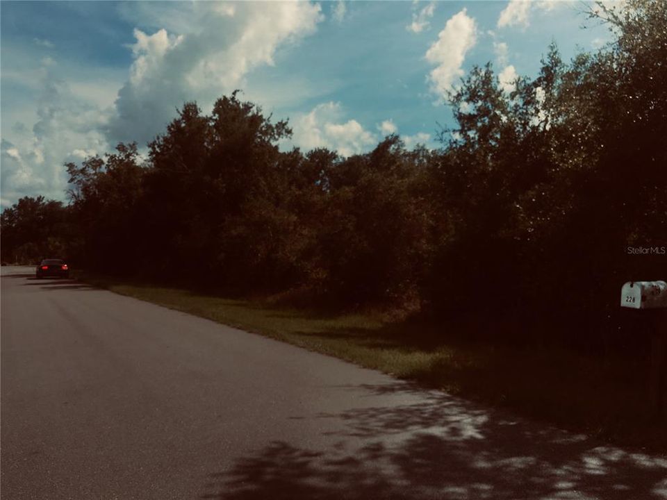 For Sale: $29,000 (0.23 acres)