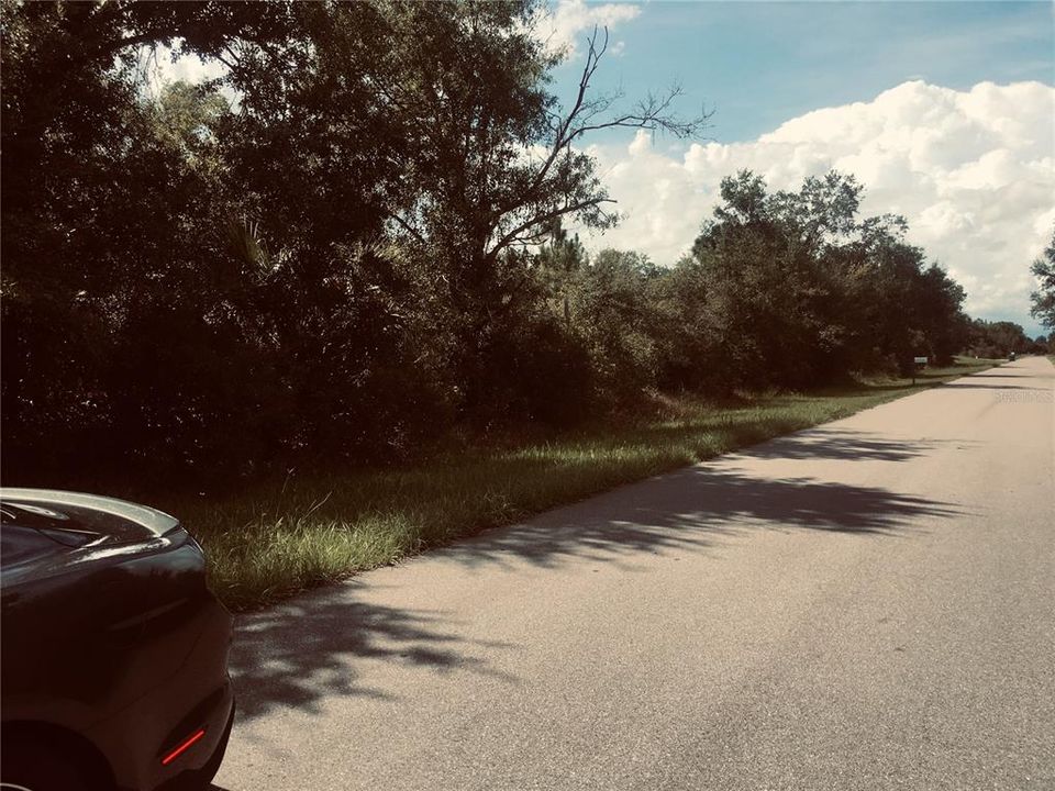 For Sale: $29,000 (0.23 acres)