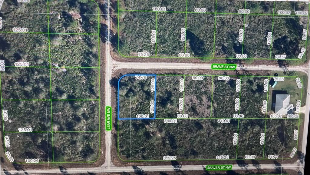 For Sale: $14,900 (0.29 acres)