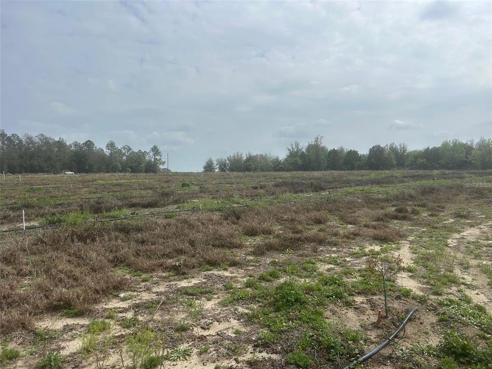 待售: $999,900 (20.00 acres)