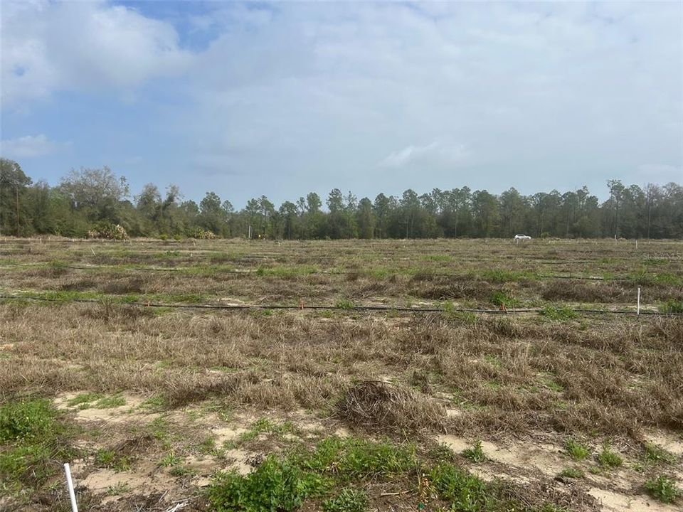 待售: $999,900 (20.00 acres)