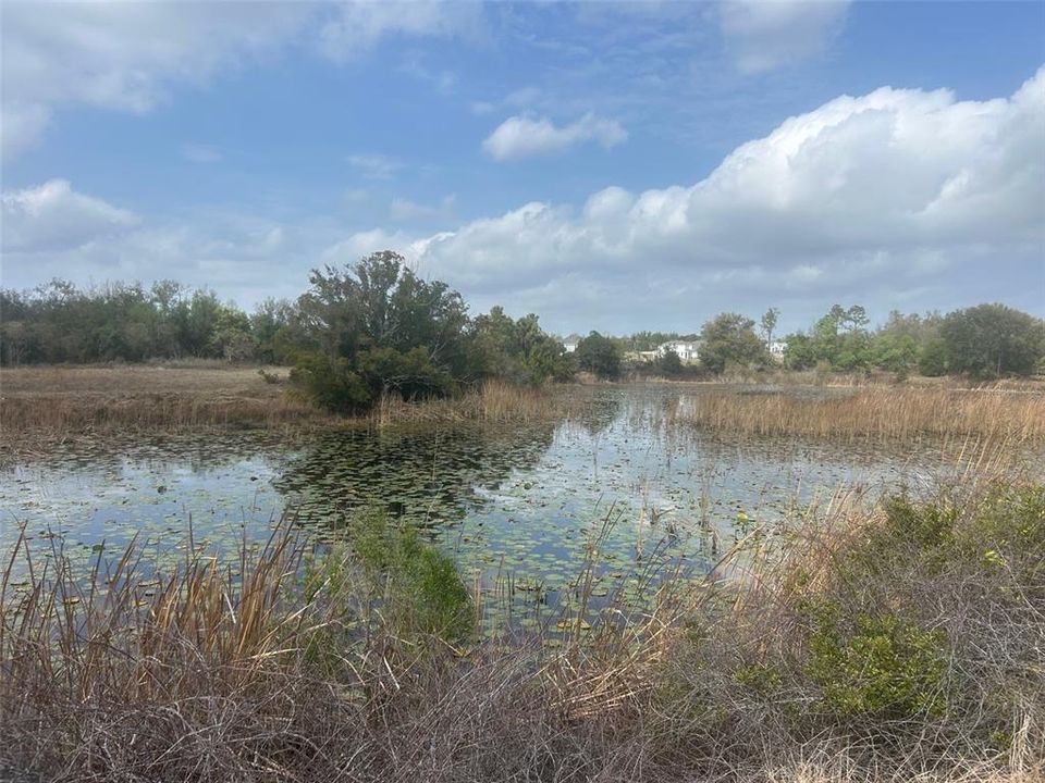 待售: $999,900 (20.00 acres)