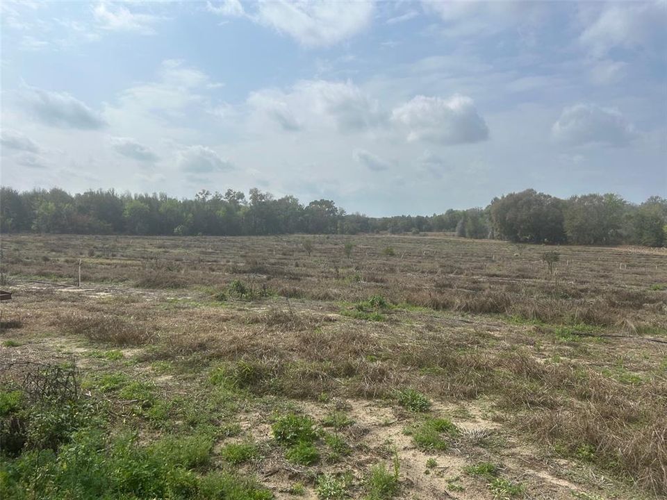 待售: $999,900 (20.00 acres)