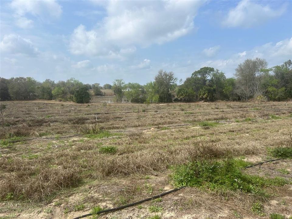 待售: $999,900 (20.00 acres)