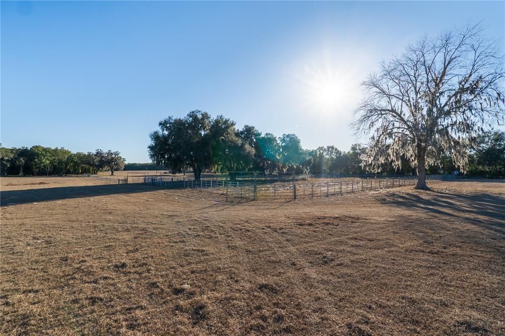 For Sale: $850,000 (25.00 acres)