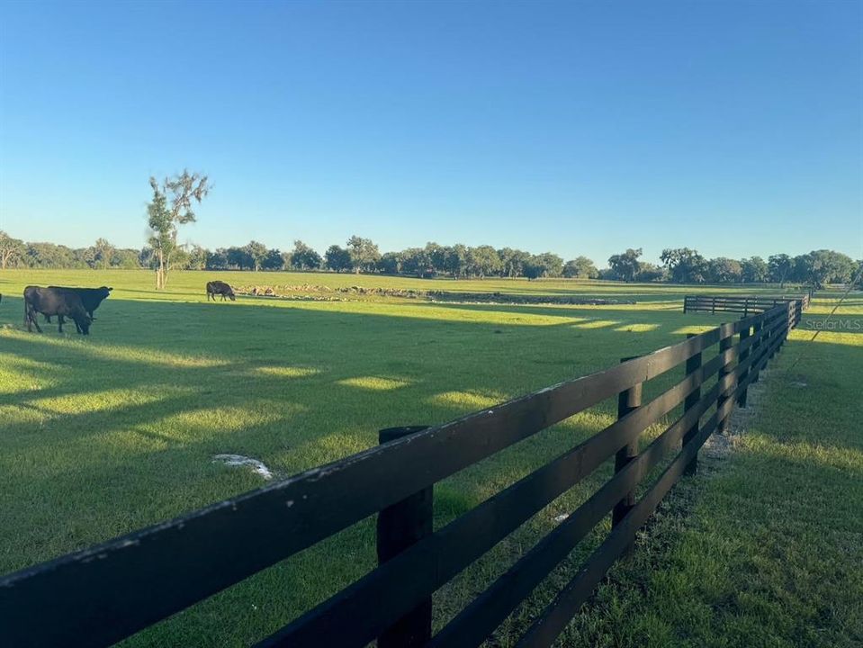 For Sale: $649,000 (20.40 acres)