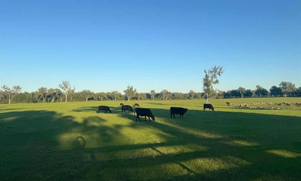 For Sale: $649,000 (20.40 acres)