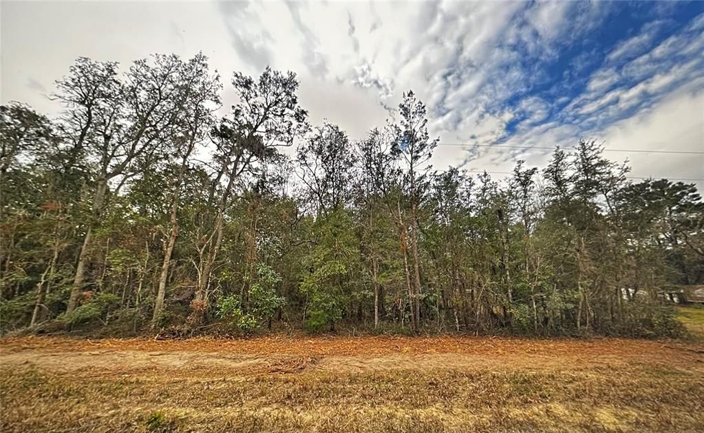 На продажу: $12,900 (0.22 acres)