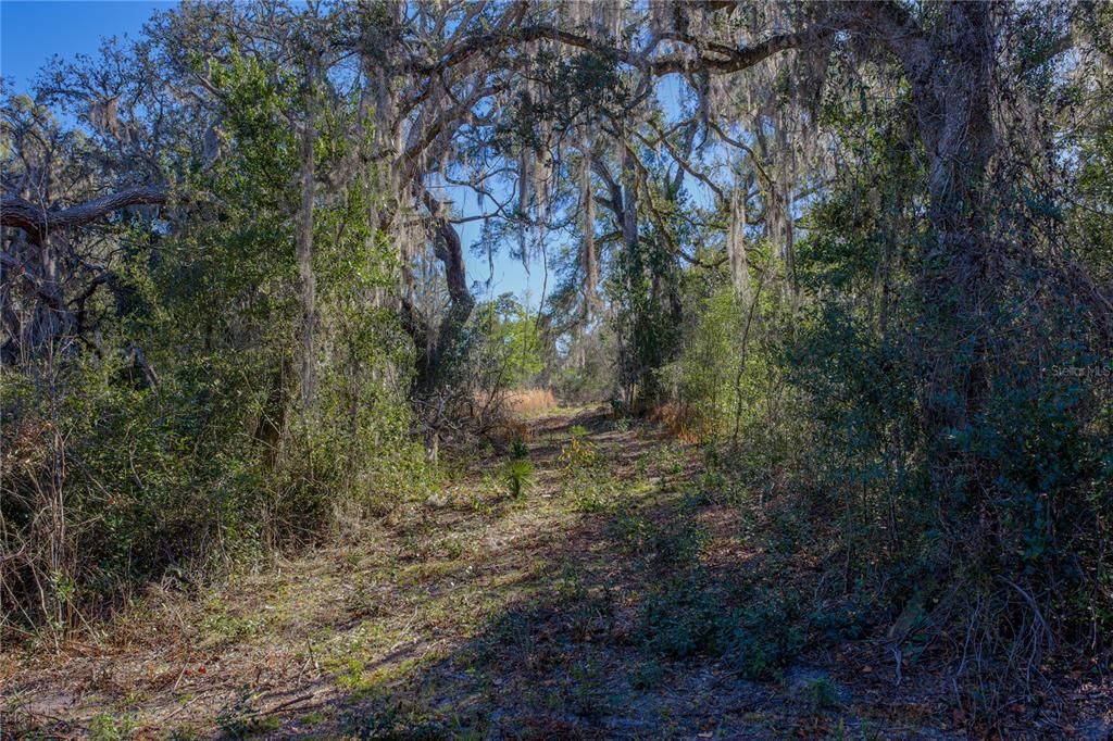 For Sale: $179,900 (5.00 acres)
