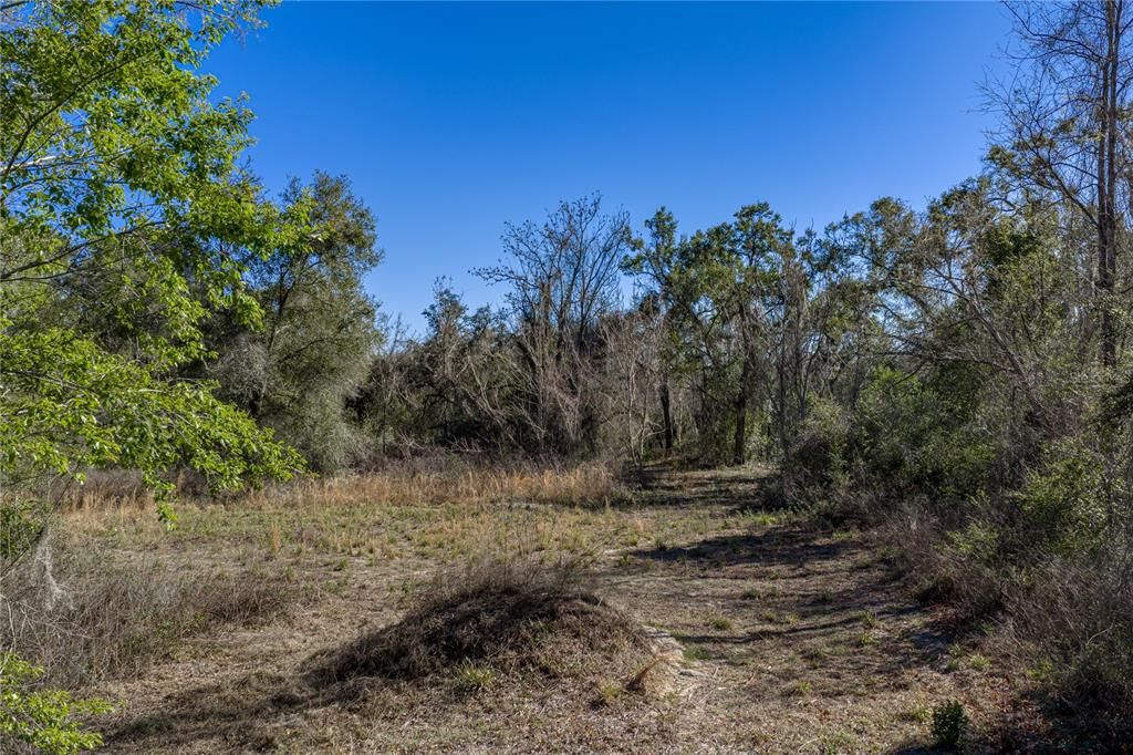 En Venta: $179,900 (5.01 acres)