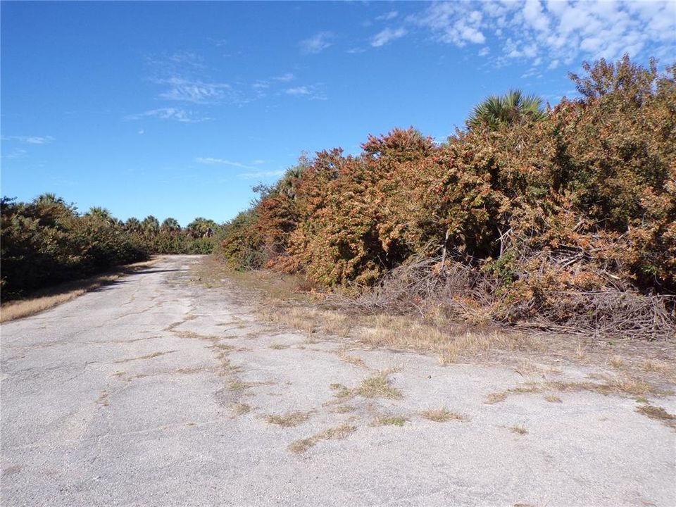 For Sale: $16,990 (0.35 acres)