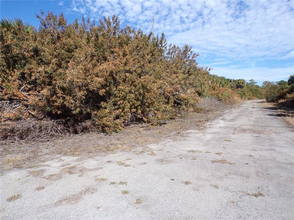For Sale: $16,990 (0.35 acres)