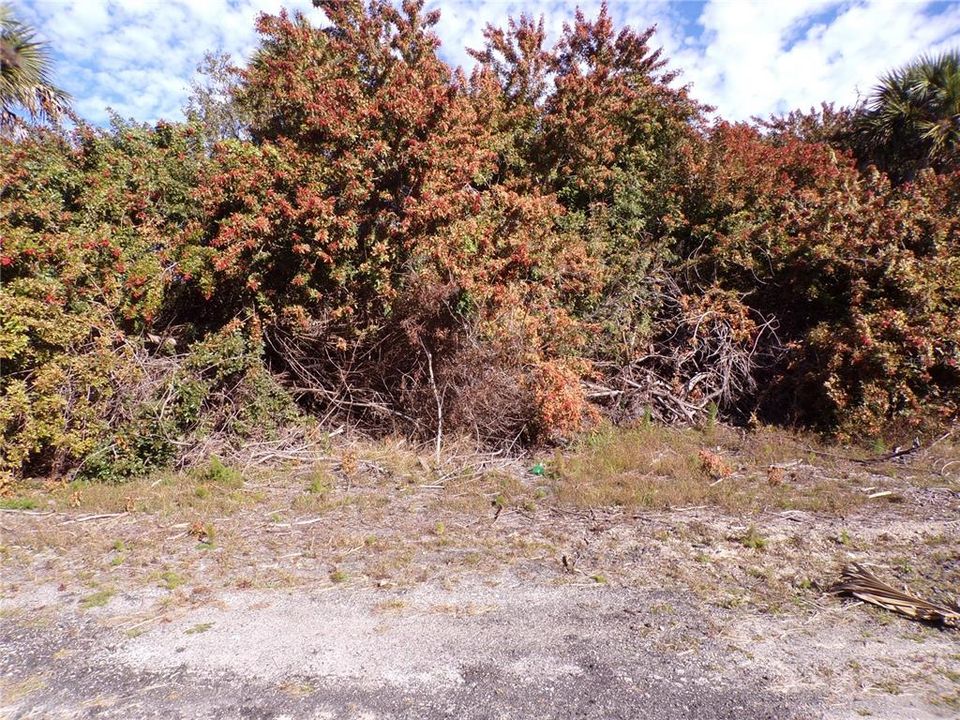 For Sale: $16,990 (0.35 acres)