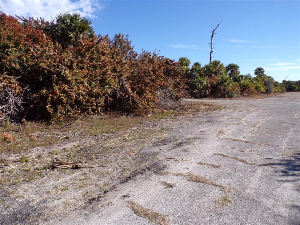 For Sale: $16,990 (0.35 acres)