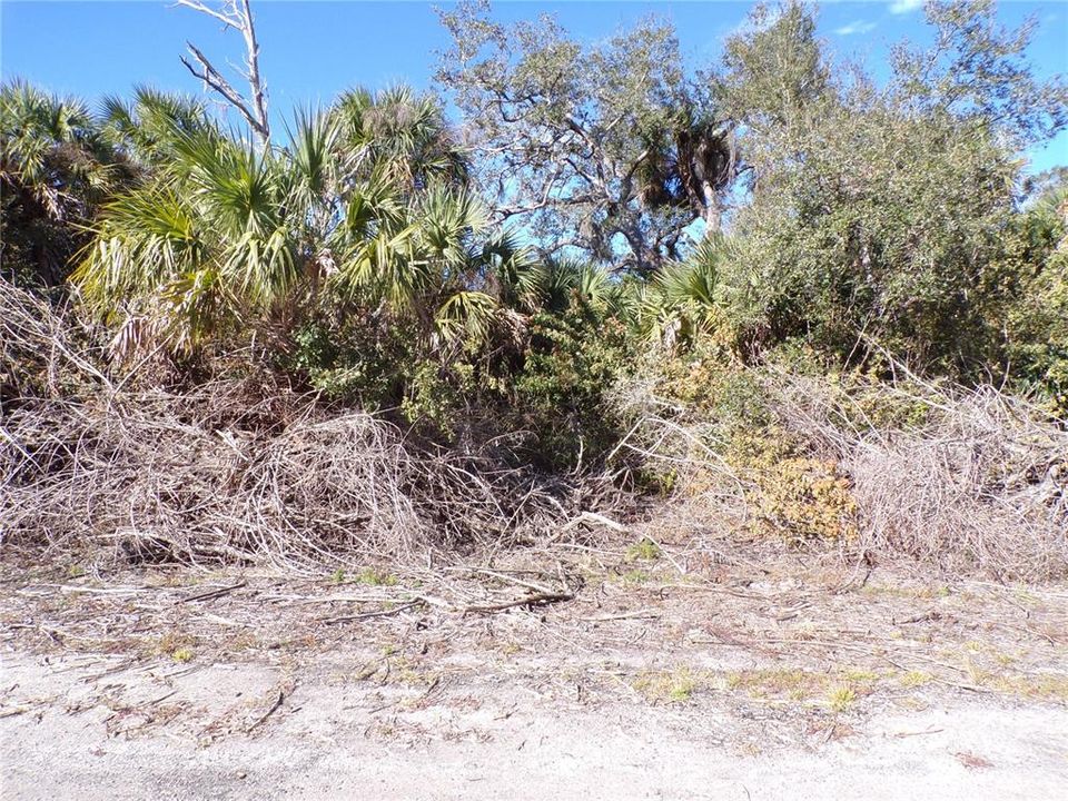 For Sale: $16,990 (0.35 acres)