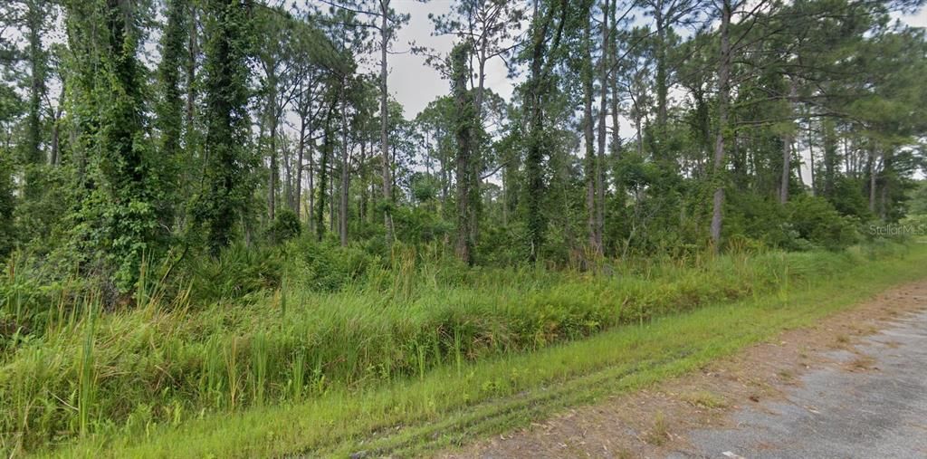 For Sale: $24,990 (0.23 acres)