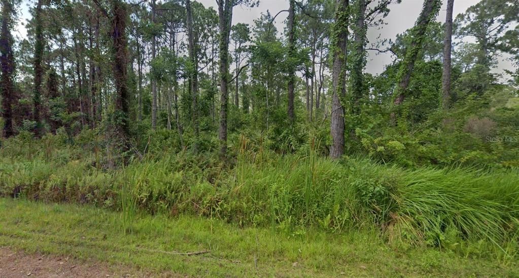 For Sale: $24,990 (0.23 acres)
