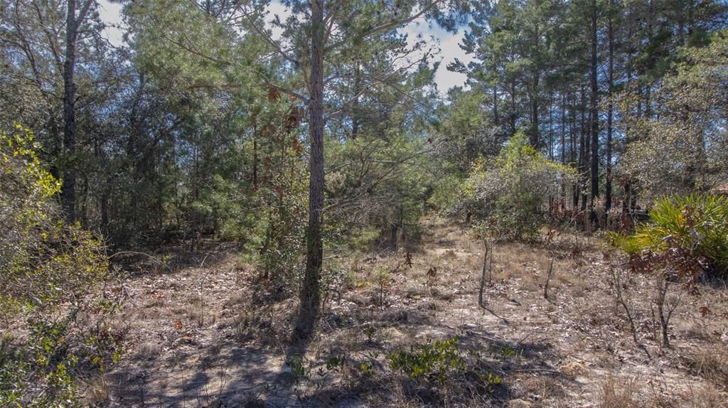 待售: $28,000 (0.35 acres)