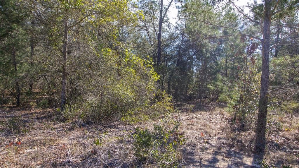 待售: $28,000 (0.35 acres)