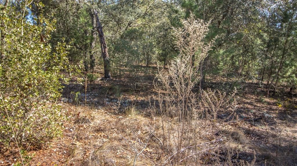 待售: $28,000 (0.35 acres)