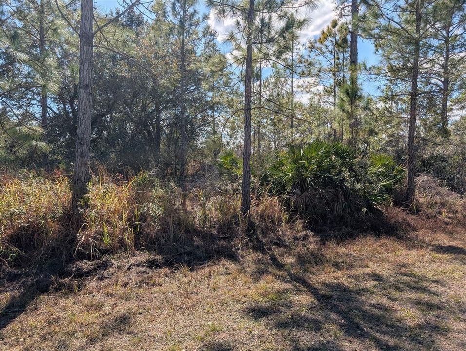 На продажу: $15,000 (0.50 acres)