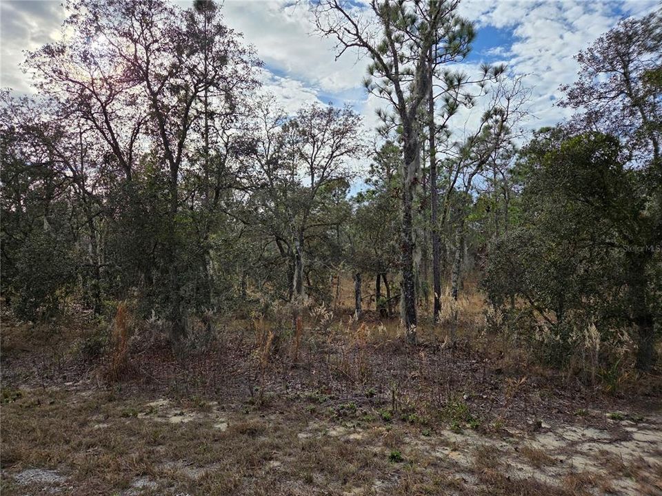 Activo con contrato: $18,000 (1.00 acres)