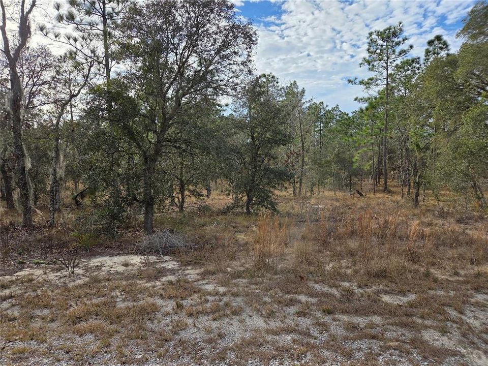 Activo con contrato: $18,000 (1.00 acres)