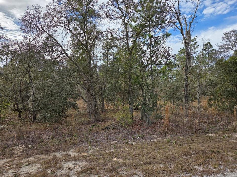 Activo con contrato: $18,000 (1.00 acres)