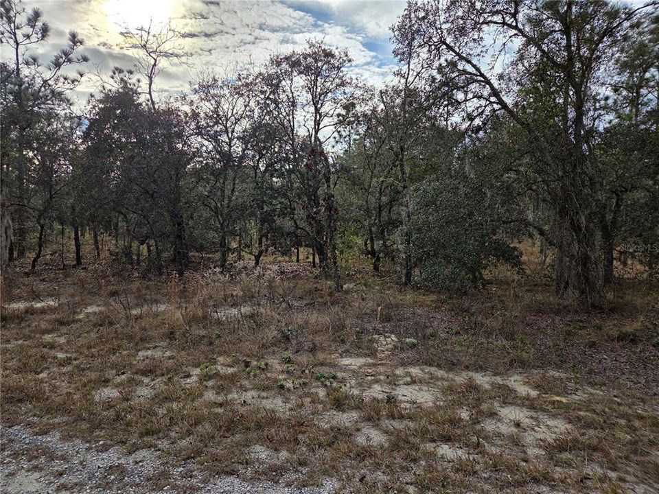 Activo con contrato: $18,000 (1.00 acres)