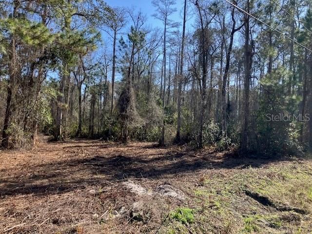 待售: $69,900 (1.14 acres)