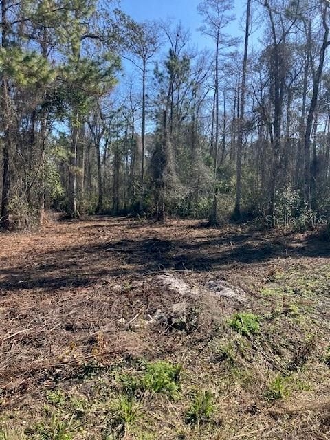 待售: $69,900 (1.14 acres)