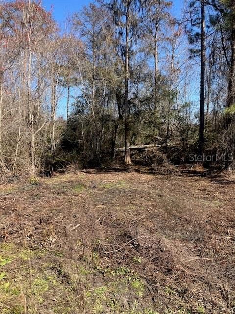 待售: $69,900 (1.14 acres)