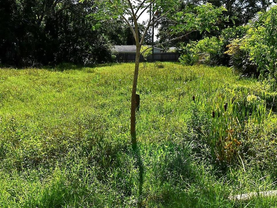 На продажу: $90,000 (0.19 acres)