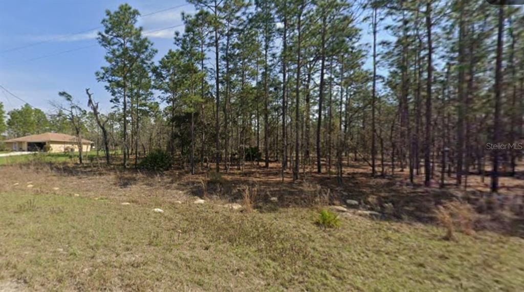 待售: $86,000 (1.33 acres)
