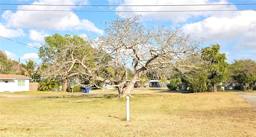 En Venta: $1,800,000 (1.64 acres)