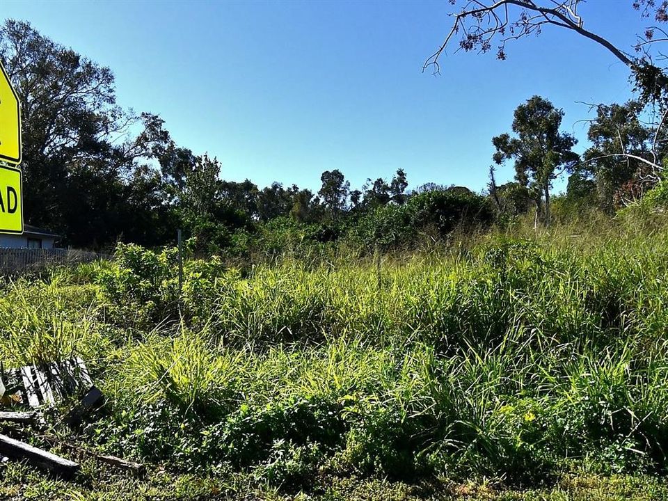 待售: $115,000 (0.11 acres)
